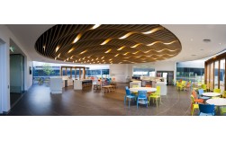 Cafeteria  Copyright Brian Smyth