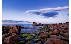 Copyright Brian Smyth